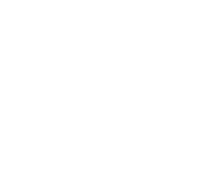 Grupo TLV